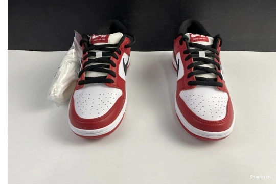 Chicago Nike BQ6817-600 Dunk SB Low J-Pack 1102